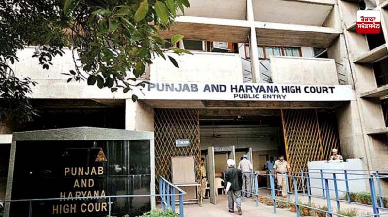 Punjab and haryana High Court 