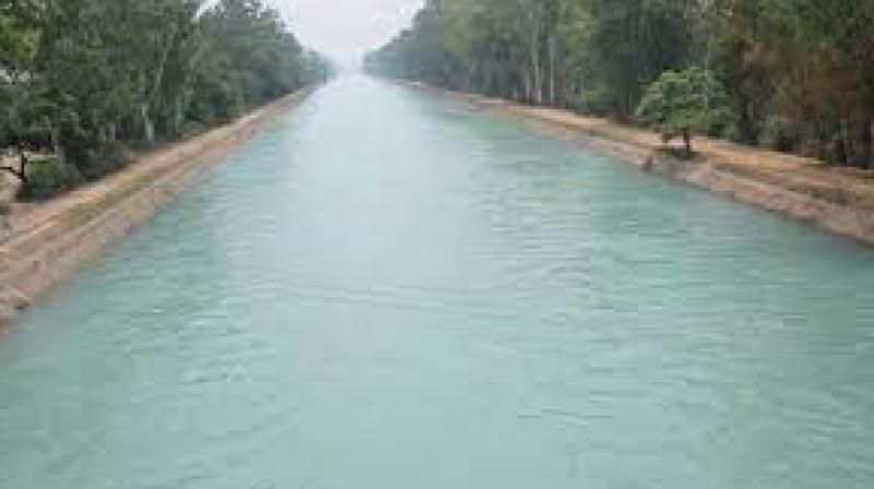 Rotational irrigation programme for rabi season from February 19 to 26 released news in punjabi 