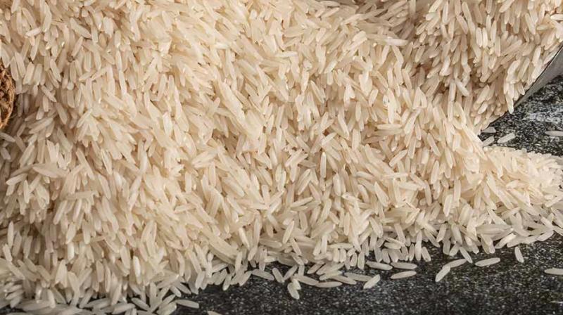 Rice