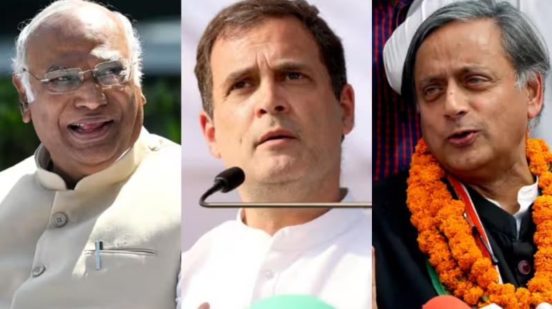 Mallikarjun Kharge, Rahul Gandhi and Shashi Tharoor.