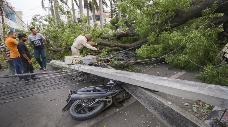 Jammu: Fallen electric poles on motorbikes due to gusty winds, in Jammu. (PTI Photo)