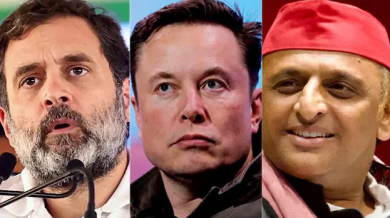 Rahul Gandhi, Elon Musk and Akhilesh Yadav.