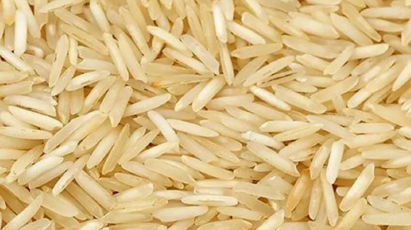 basmati rice 