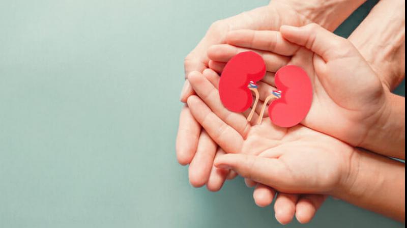 Representative Image.