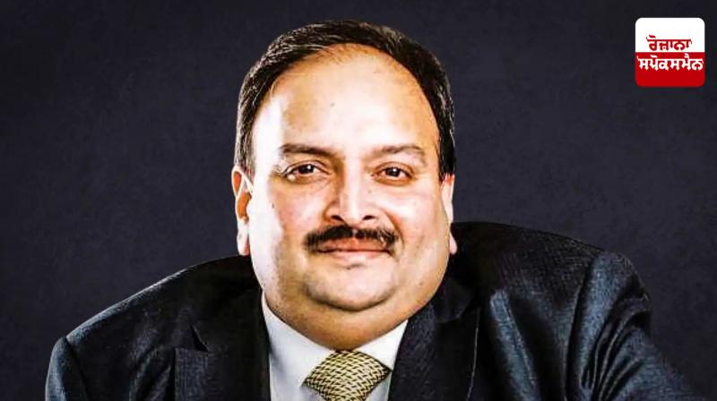 Fugitive Mehul Choksi is in Belgium, Belgian government also accepted this fact Latest News in Punjabi 