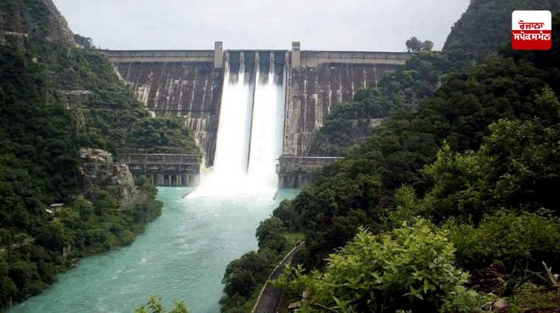 Water level in Bhakra Dam Increased, Level Reached 1584.21 Feet Latest News in Punjabi 