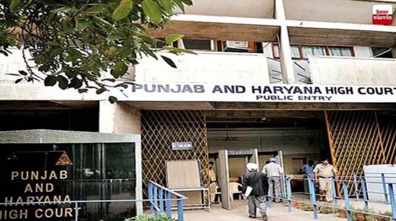 Border Firing, HC Upholds Dismissal of Drunk BSF Jawan Latest News in Punjab