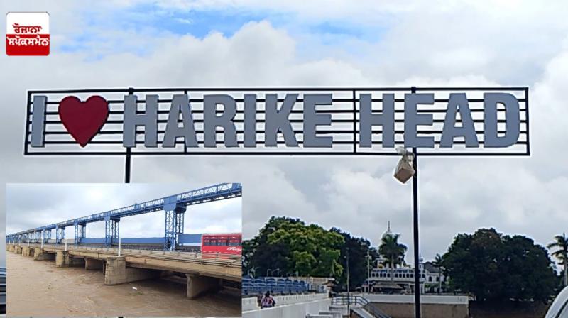 Water Level Rises Again at Harike Head Works Latest News in Punjabi 