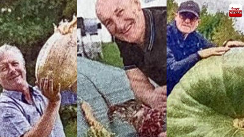 British King in 'Giant Vegetable Championship' Latest News in Punjabi 