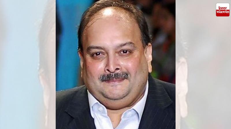PNB Fraud Case: Setback for Main Accused Mehul Choksi Latest News in Punjabi