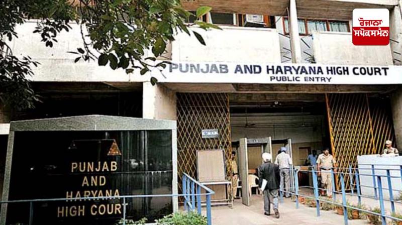 Punjab Haryana High court News