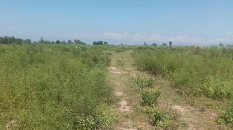 3 sand quarries will be allotted to contractors in Hoshiarpur