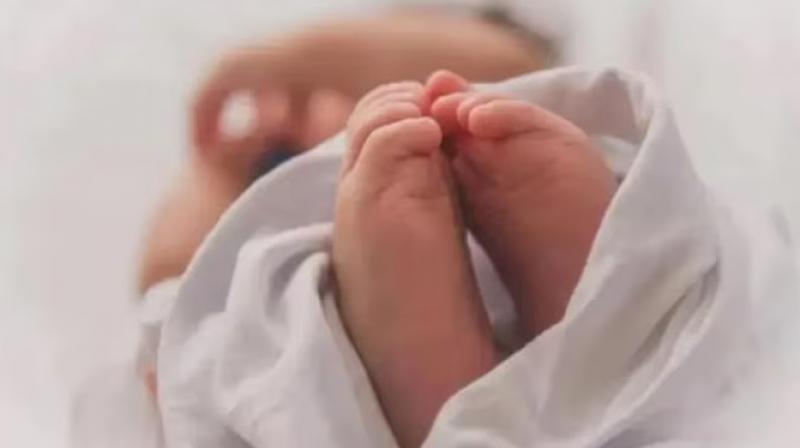 Body of a newborn baby found in Ludhiana