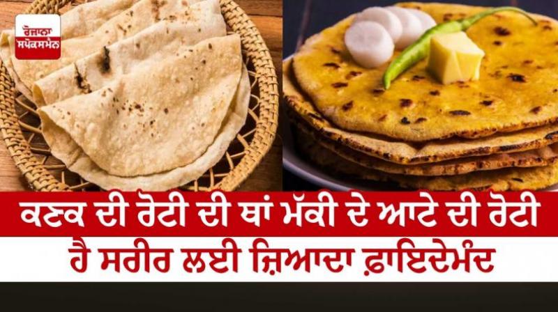 Health News: Instead of wheat bread, corn flour bread is more beneficial for the body