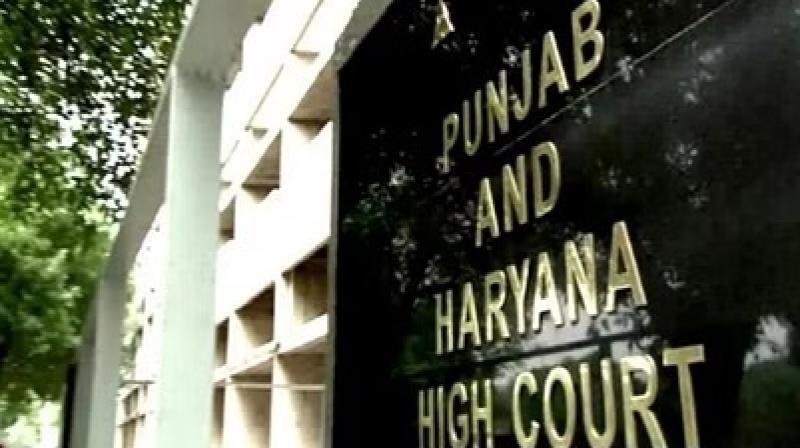 Punjab and Haryana High Court 