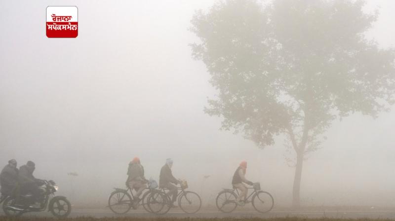 punjab weather update