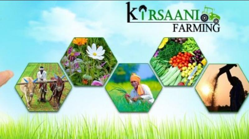 Kirsaani Farming