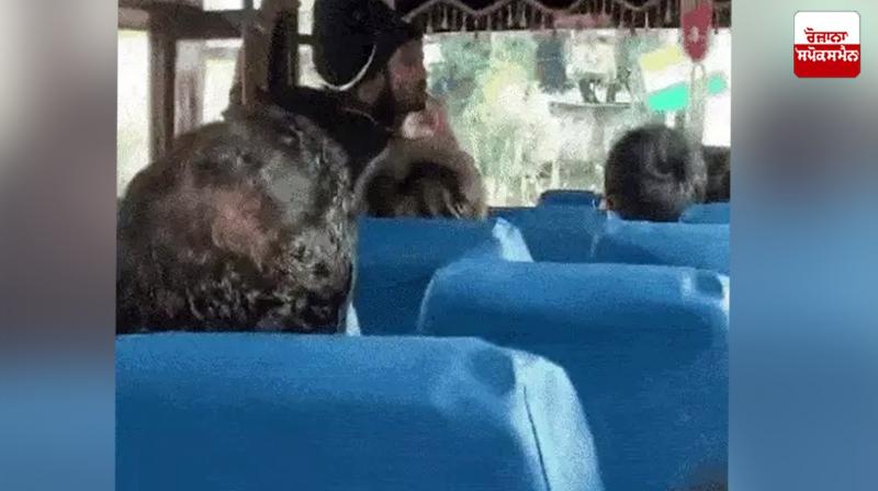 Amritsar News: Nihang Singh's commotion in IIM Amritsar campus