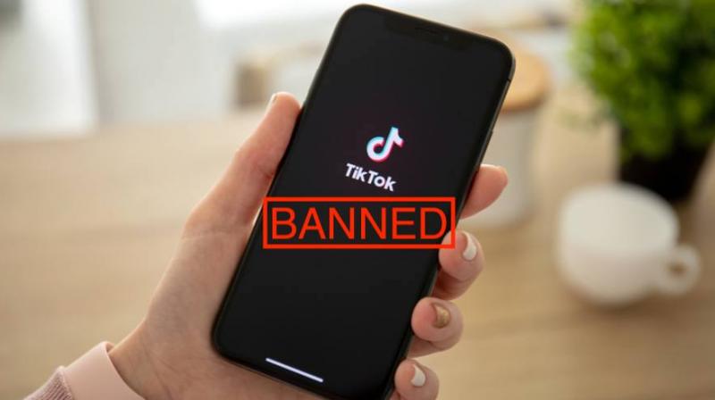 TikTok ban google block TikTok App twitter funny memes and reaction