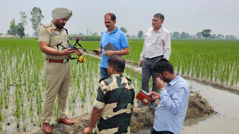 ਪੁਲਿਸ ਖੇਤਾਂ ’ਚ ਡਰੋਨ ਜ਼ਬਤ ਕਰਦੀ ਹੋਈ 