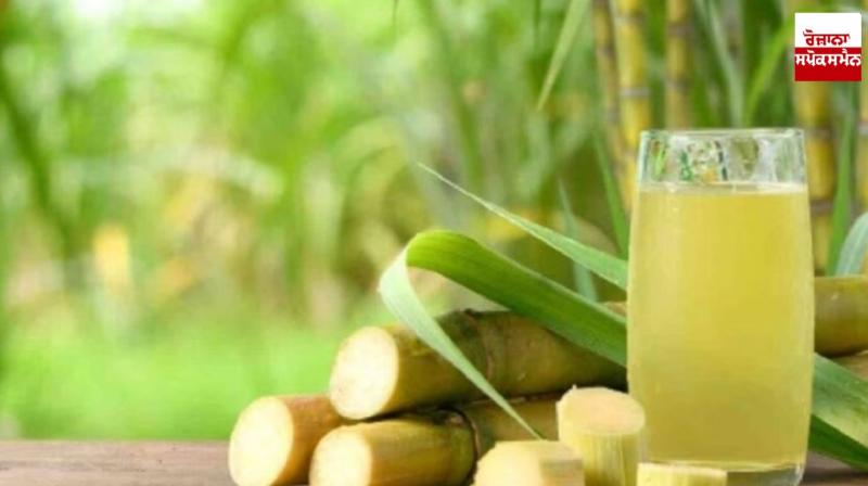 Drink sugarcane juice daily in summer Health News