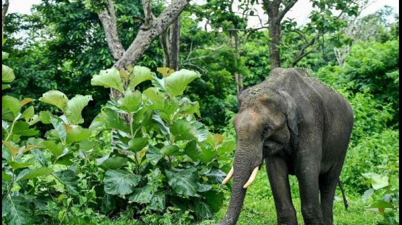 Image for representational purposes only