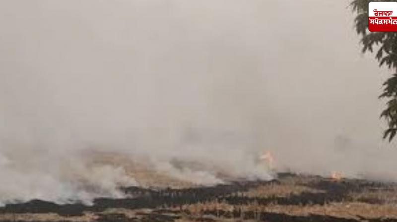 There has been a significant decline in stubble burning cases in Punjab and Haryana this year: Statistics
