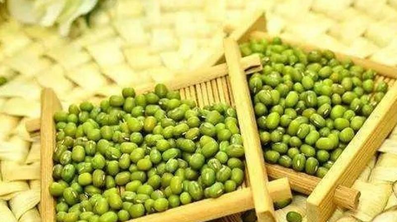  CM Mann announces MSP on Moong pulses for Punjab farmers