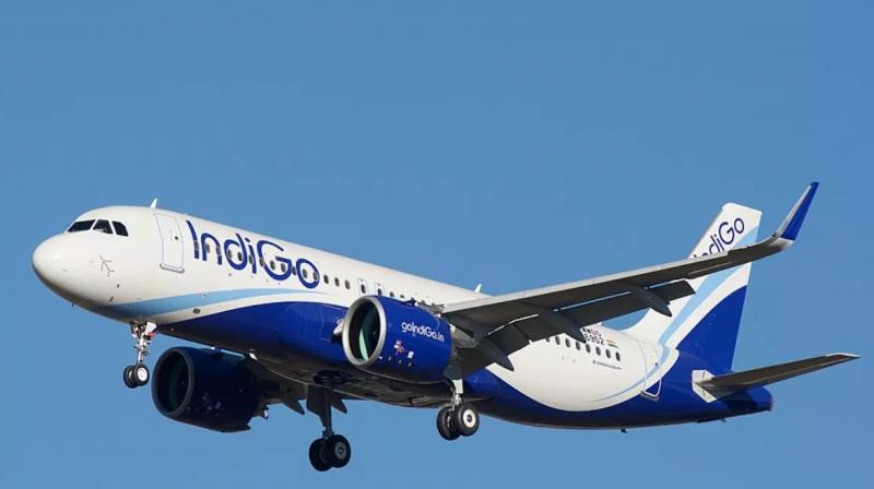 indigo airlines