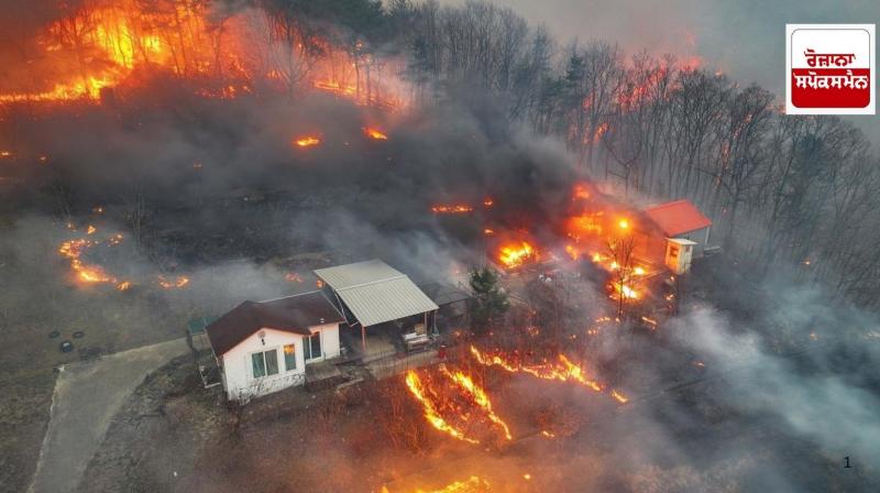 Massive forest fire in South Korea, 18 deaths so far