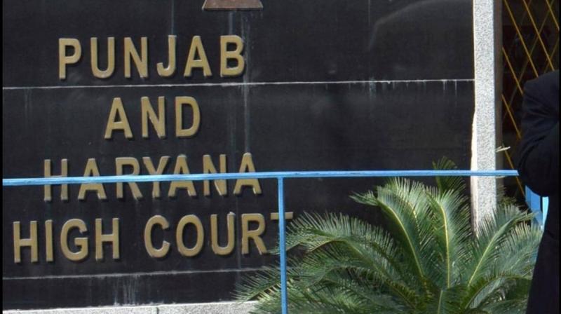 Punjab and Haryana High Court 