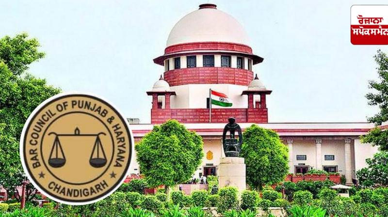 Supreme Court orders BCI to issue notification for Punjab and Haryana Bar Council elections