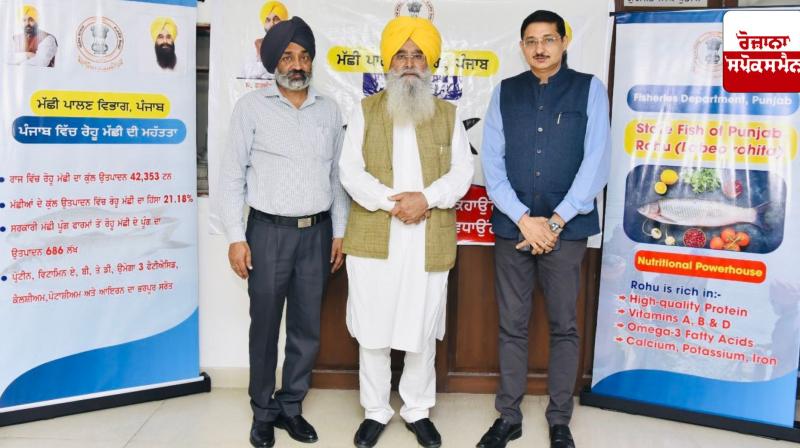 Punjab Government declares 