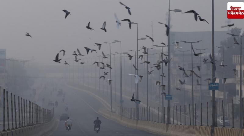 Punjab Weather Update