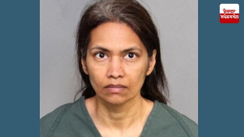 Mother kills son after visiting Disneyland