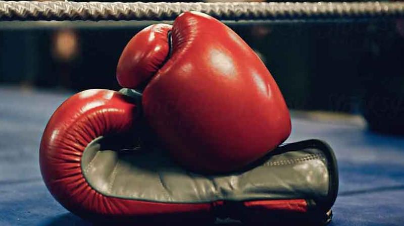 India has made 5 medals in Iran Boxing Tournament