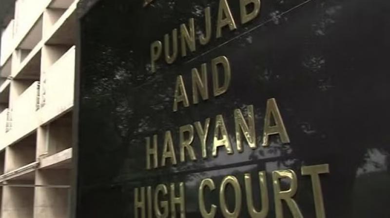 punjab and Haryana High Court
