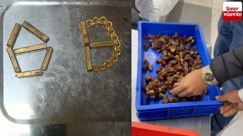 The customs department seized gold worth 13 lakhs at Delhi's IGI airport News in punjabi 