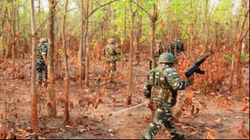 9 naxalites killed