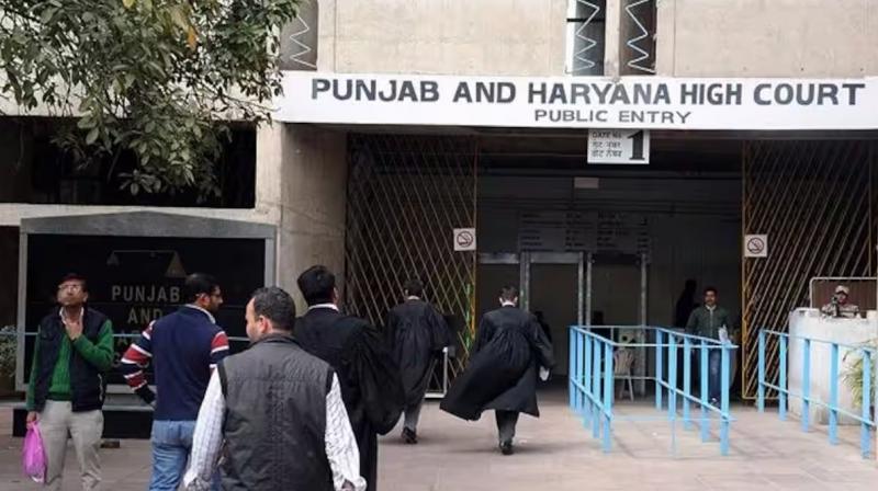 punjab and haryana High court