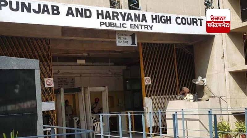 Punjab Haryana High Court 