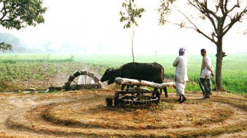 Disappeared Banyan well Punjab Culture IN Punjab 