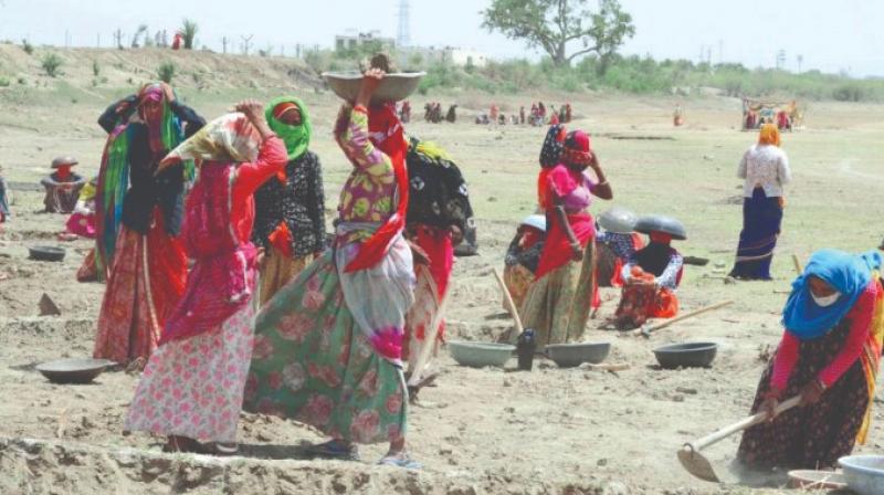  Scissors on rural employment, MNREGA allocation reduced by 30 percent in the budget
