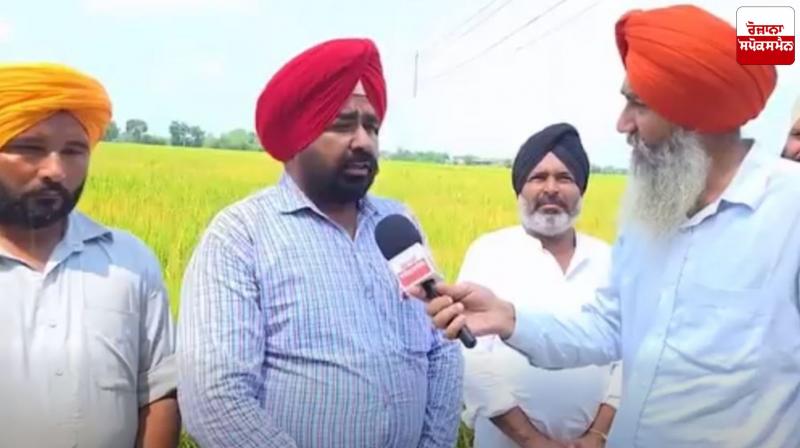 Bona virus reaches Nabha