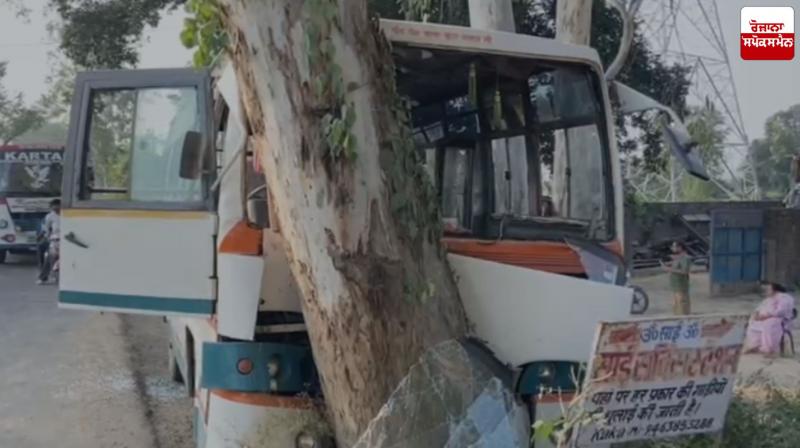 Private bus collides with a white tree, 5 passengers injured