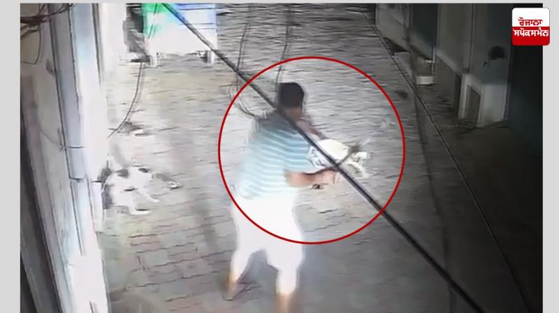 Man attacks dog with hockey stick, incident caught on CCTV camera