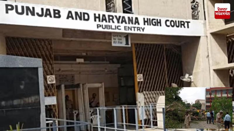 High Court orders compensation of Rs 1.5 crore in Carmel Convent School accident case