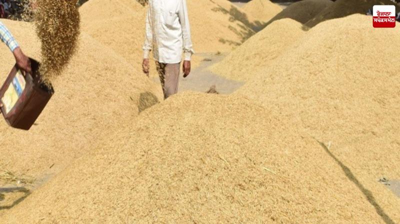 Paddy procurement continues at a rapid pace