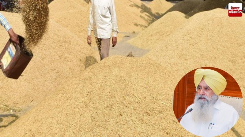 Punjab Mandi Board sets up control room for smooth procurement of paddy
