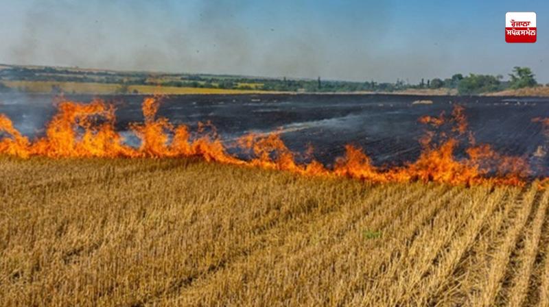 Stubble fire incidents cross 500 in Punjab